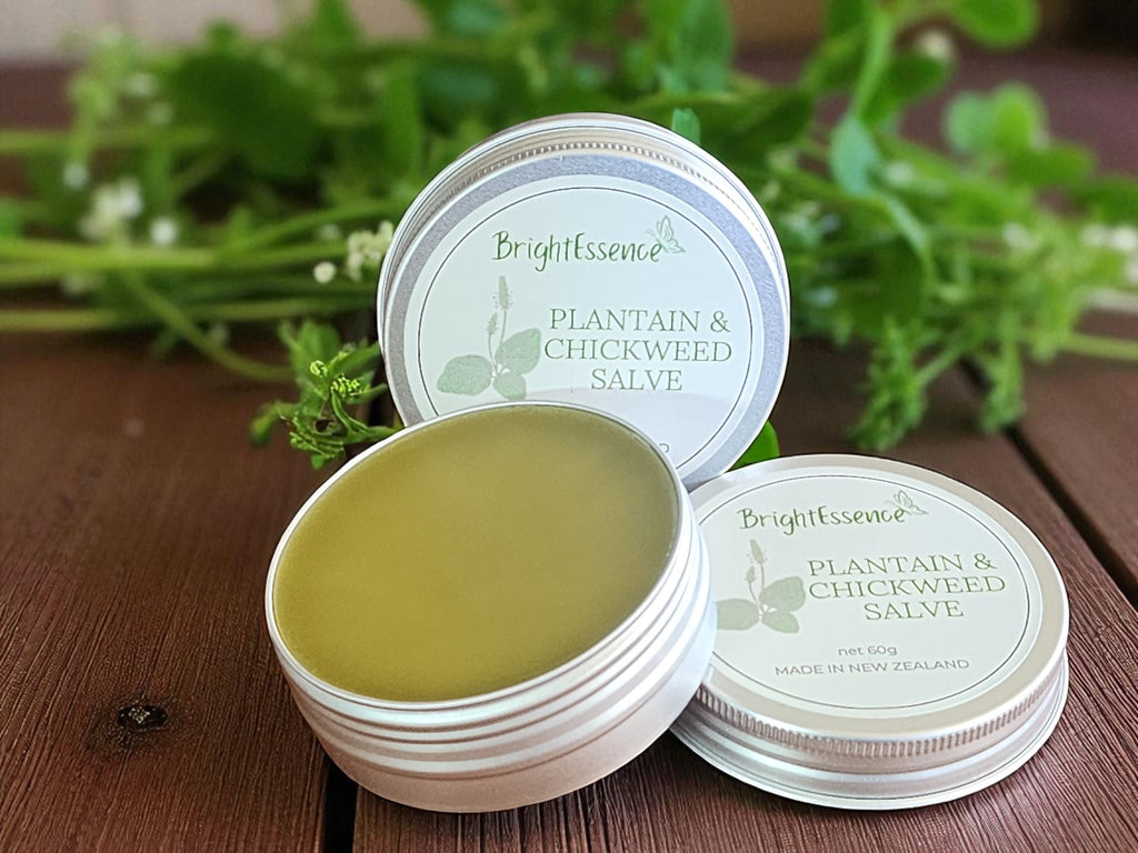 Plantain & Chickweed Salve