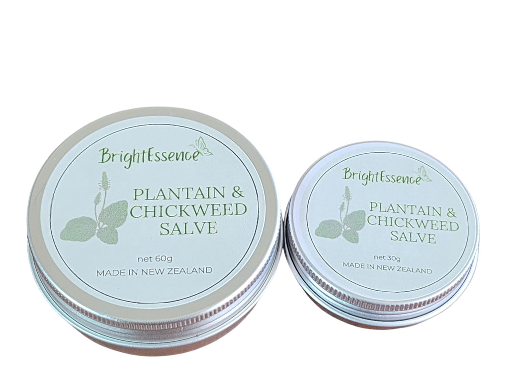 Plantain & Chickweed Salve