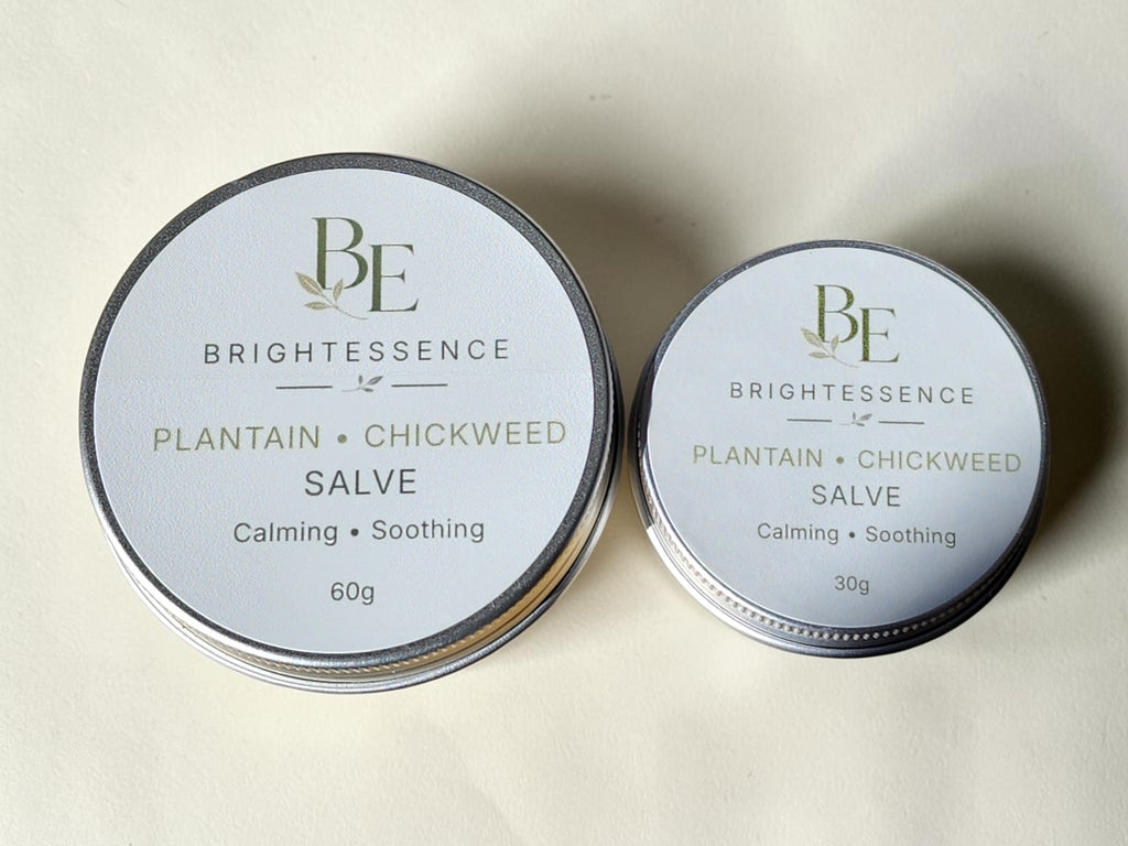 Plantain & Chickweed Salve