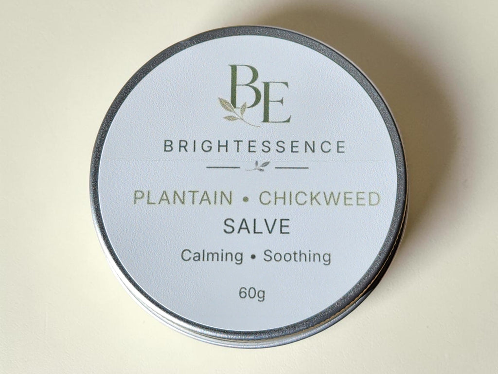 Plantain & Chickweed Salve